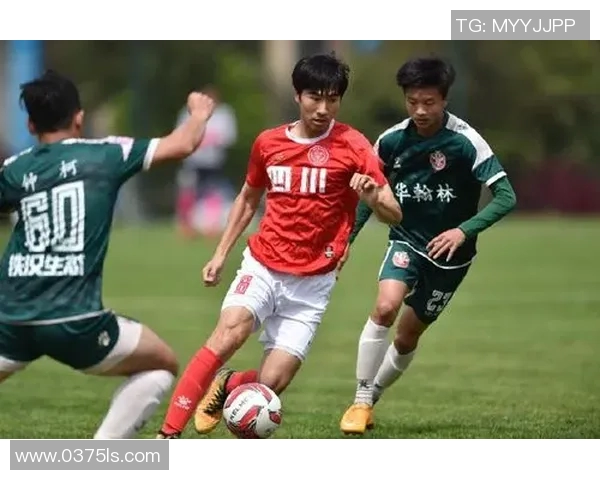 重庆篮球队实力强劲荣登全国篮球实力排行榜第七名